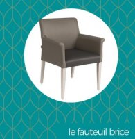 brice_serie