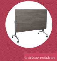 modulo_serie