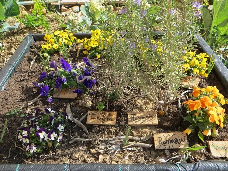 dlm-voyage-centre-ehpad-ep2-2