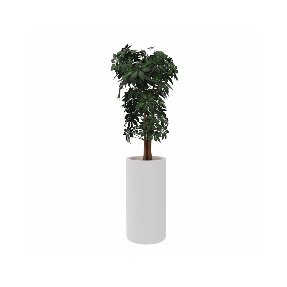 SCHEFFLERA ARTIF