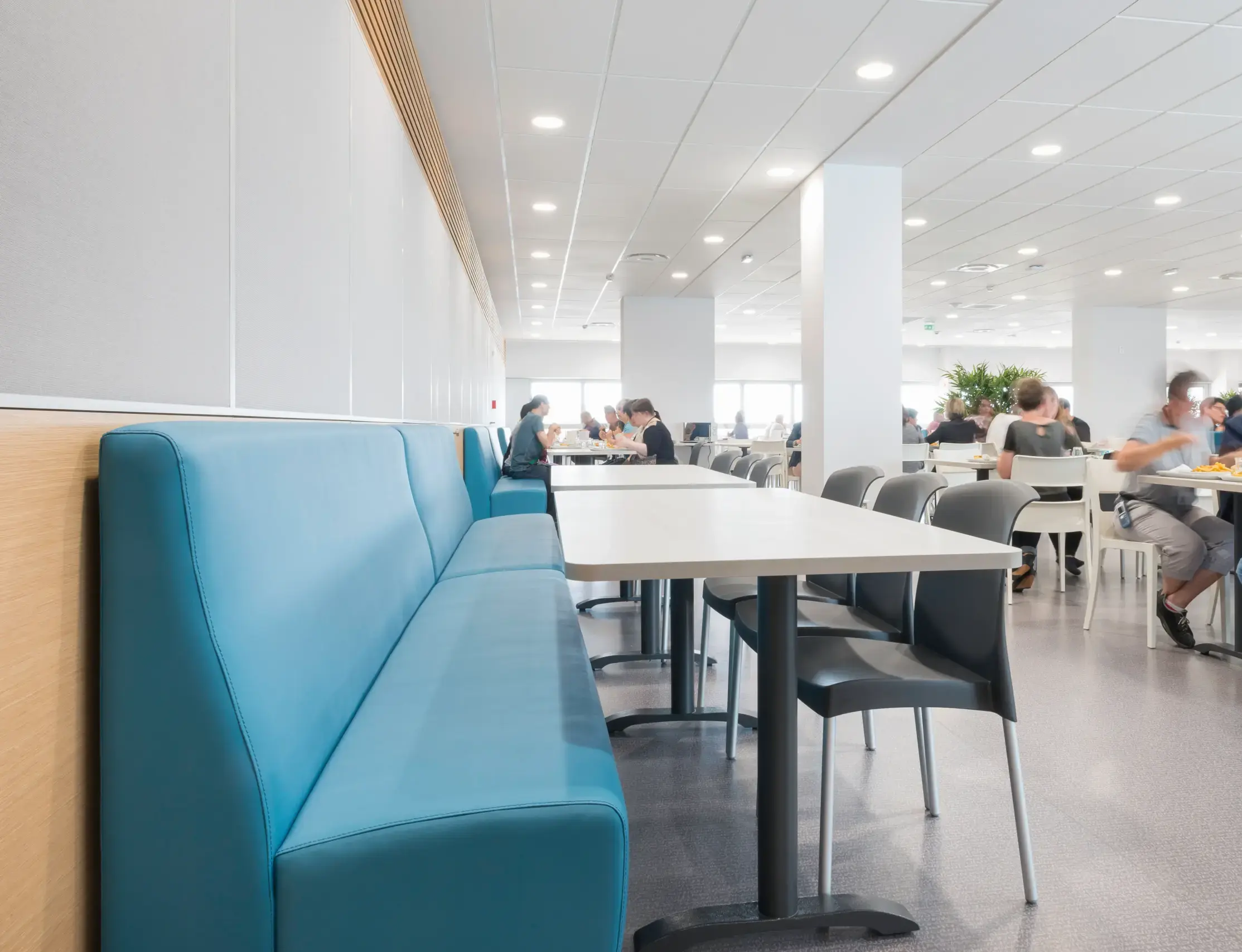 dlm_phm_ph_2017-06-09_sam_7057_corlay-1c_scult-1ch_v1