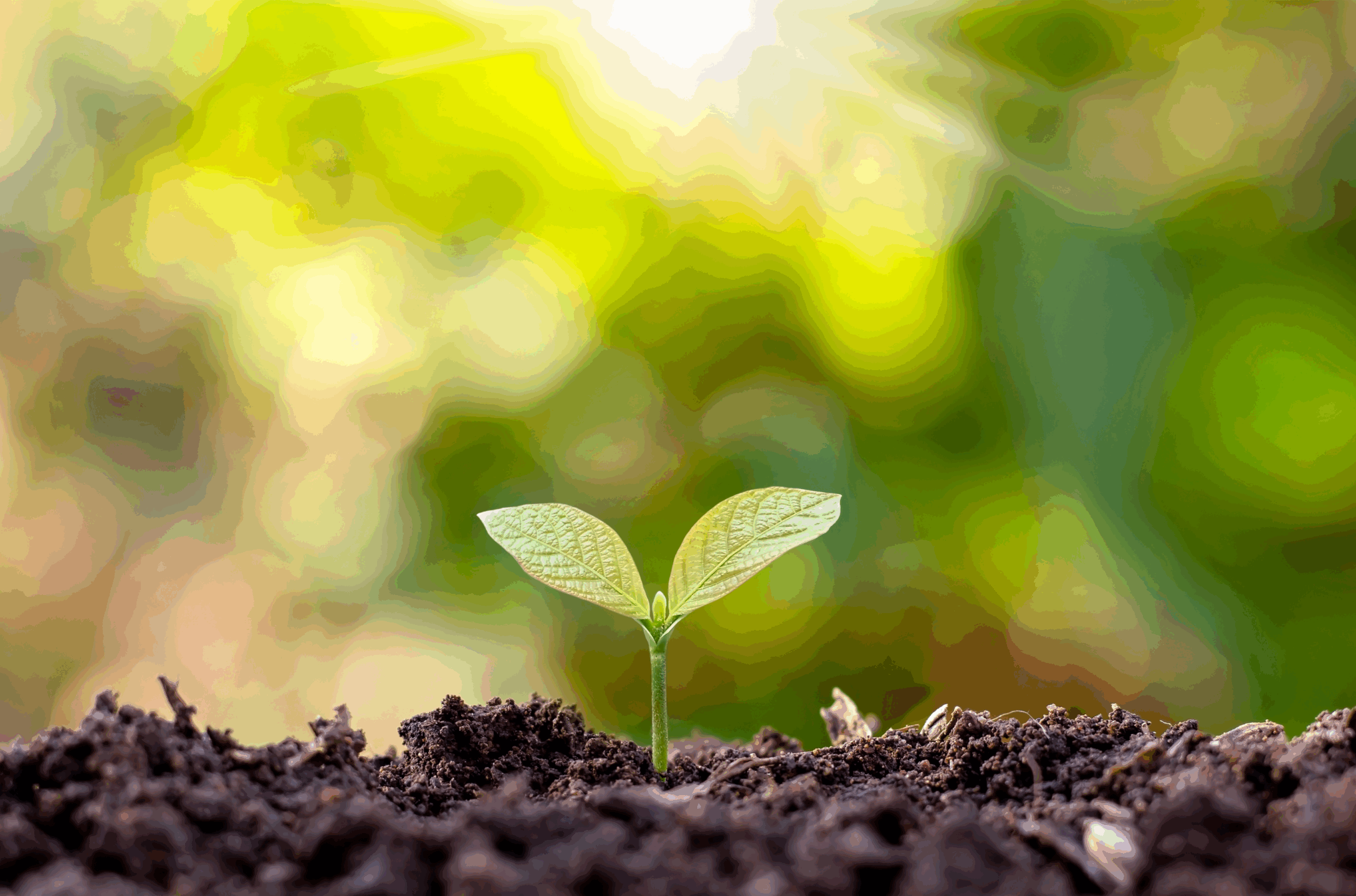 dlm_creations_environnement_iso_mobilier