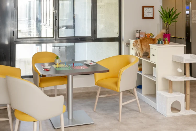 DLM-Valençais_alto-1f_table-270rg-plateau-jeu_bar-chaumont_2025