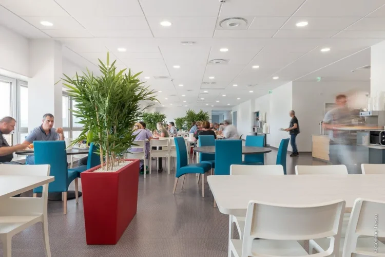 dlm-belfort_hopital_2017_3