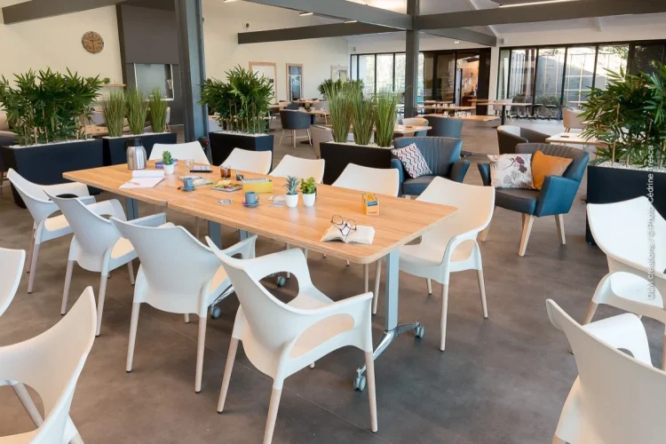 dlm-castelnau_ehpad_meduli