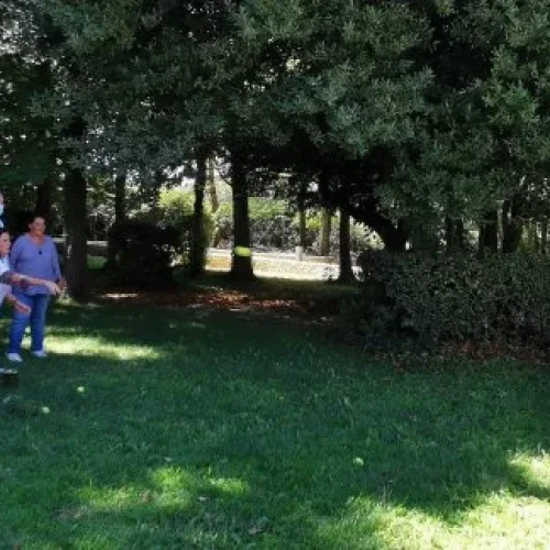 dlm-seminaire-2020-3